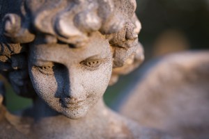 Jacquie Klose . Freelance Writer . Graphic Designer . Photographer - Salem, Oregon